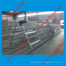 Pymarid Type of Layer Battery Cages